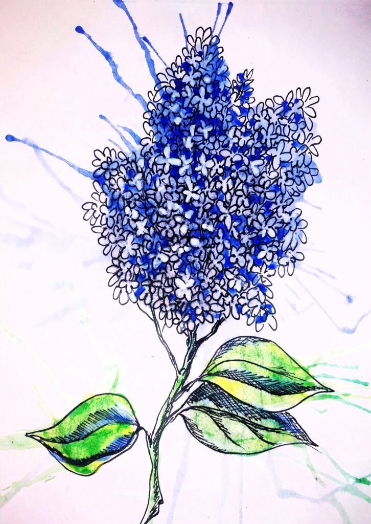 Бузок скетч Акварель, папір, скетч 2023 Lilac sketch Watercolor, paper, sketch 2023