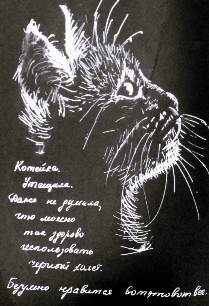 Кіт на чорному лінер, чорний папір, 2017 Cat on black liner, black paper, 2017