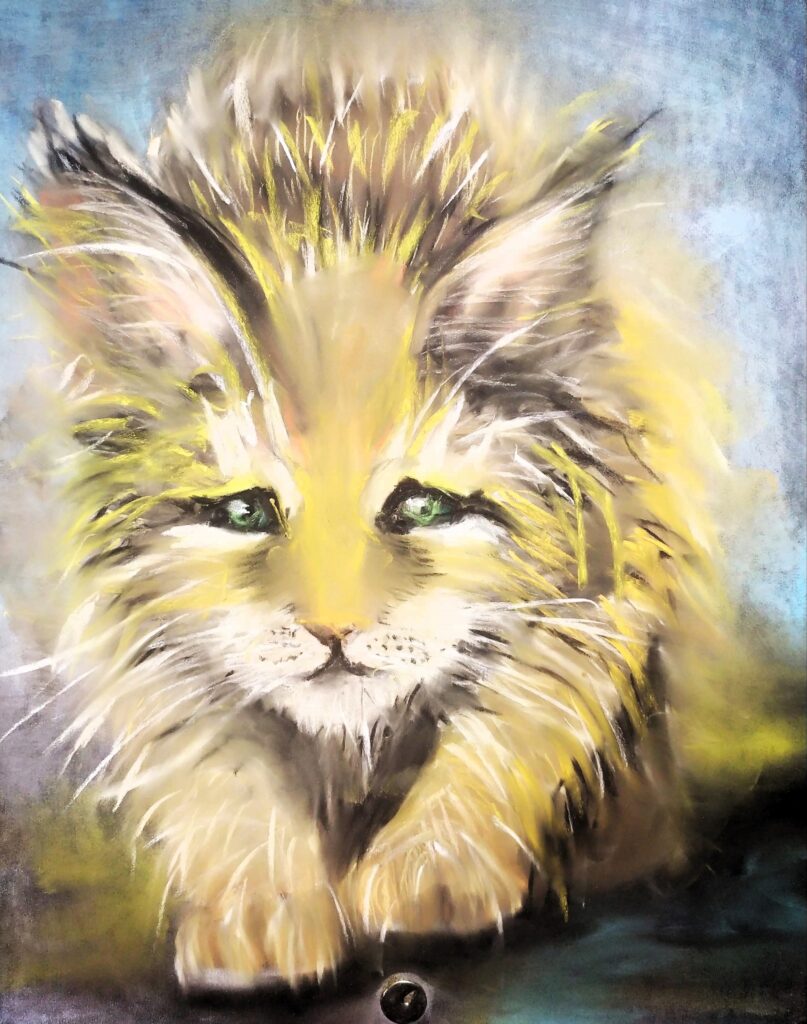 Кошеня суха пастель, папір, 2022 Kitten dry pastel, paper, 2022