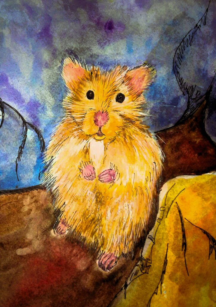 Морська свинка Акварель, папір, 2015 Guinea pig Watercolor, paper, 2015