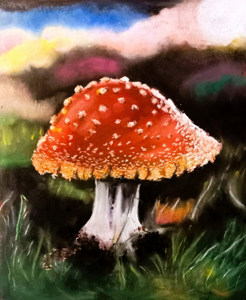 Мухоморчик суха пастель, папір, 20х27 см., 2023 Fly agaric dry pastel, paper, 20x27 cm, 2023