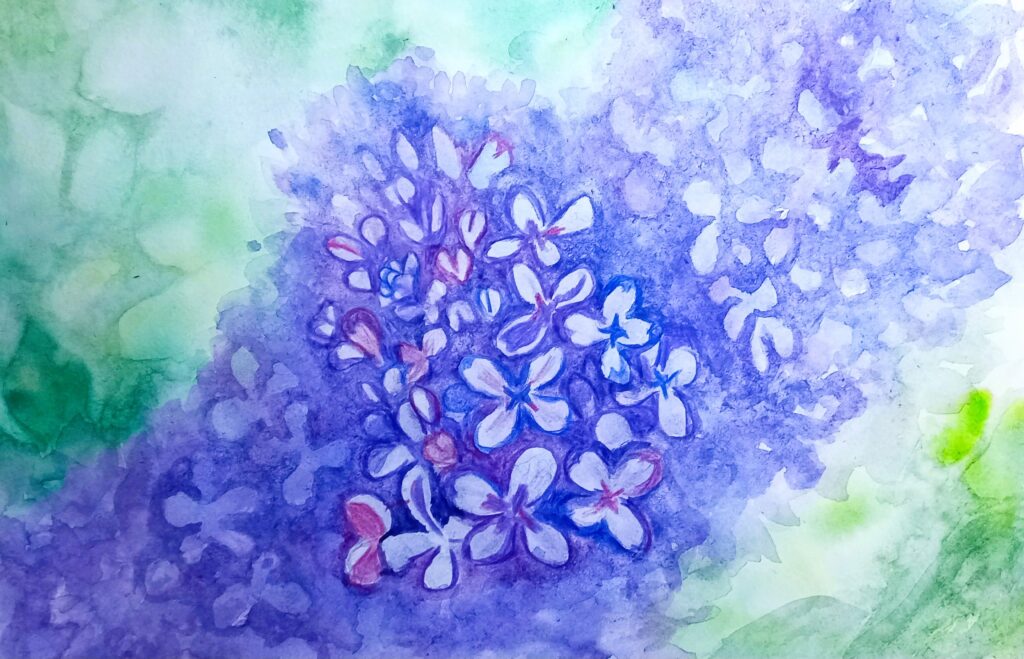 Бузок. Скетч Акварель, папір, 30х21 см., 2023 Lilac. sketch Watercolor, paper, 30x21 cm., 2023